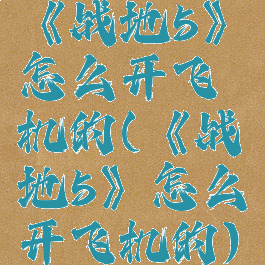 《战地5》怎么开飞机的(《战地5》怎么开飞机的)