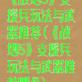 《战地5》支援兵玩法与武器推荐(《战地5》支援兵玩法与武器推荐哪个)