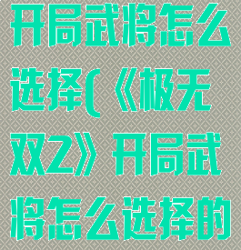 《极无双2》开局武将怎么选择(《极无双2》开局武将怎么选择的)