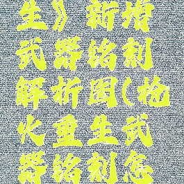 《枪火重生》新增武器铭刻解析图(枪火重生武器铭刻怎么增加)