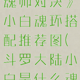 《斗罗大陆魂师对决》小白魂环搭配推荐图(斗罗大陆小白是什么魂兽)