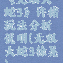 《无双大蛇3》许褚玩法分析说明(无双大蛇3徐晃)