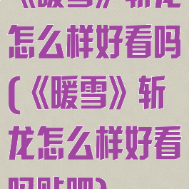 《暖雪》斩龙怎么样好看吗(《暖雪》斩龙怎么样好看吗贴吧)
