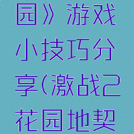 《激战花园》游戏小技巧分享(激战2花园地契在哪买)