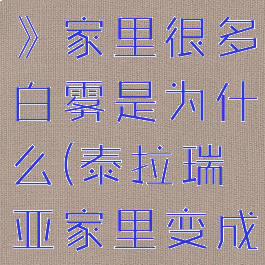 《泰拉瑞亚》家里很多白雾是为什么(泰拉瑞亚家里变成灰色)