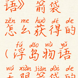 《浮岛物语》箭袋怎么获得的(浮岛物语无限箭袋的小岛)