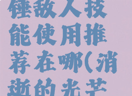 《消逝的光芒2》大锤敌人技能使用推荐在哪(消逝的光芒大锤僵尸怎么打)