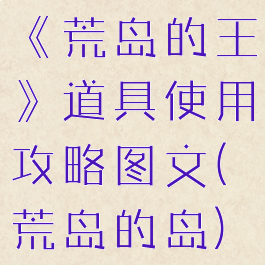 《荒岛的王》道具使用攻略图文(荒岛的岛)