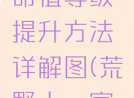 《荒野大镖客2》生命值等级提升方法详解图(荒野大镖客2生命值快速刷满)