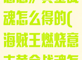 《航海王燃烧意志》黄金战魂怎么得的(海贼王燃烧意志黄金战魂怎么获得)