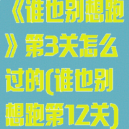 《谁也别想跑》第3关怎么过的(谁也别想跑第12关)