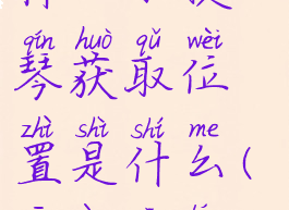 《阴暗森林》小提琴获取位置是什么(阴暗森林bgm)