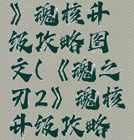 《魂之刃2》魂核升级攻略图文(《魂之刃2》魂核升级攻略图文大全)
