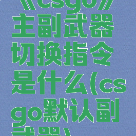 《csgo》主副武器切换指令是什么(csgo默认副武器)