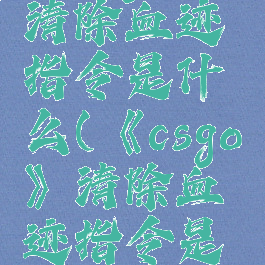 《csgo》清除血迹指令是什么(《csgo》清除血迹指令是什么东西)