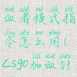 《csgo》放血者模式指令怎么用(csgo加血针指令)