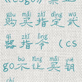 《csgo》禁止购买指定武器指令(csgo不让买钥匙)