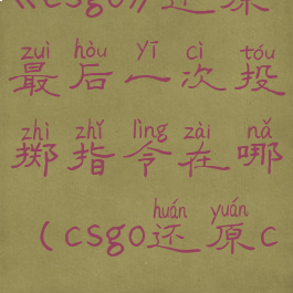《csgo》还原最后一次投掷指令在哪(csgo还原cfg)