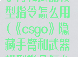 《csgo》隐藏手臂和武器模型指令怎么用(《csgo》隐藏手臂和武器模型指令怎么用)