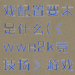 《wwe2k竞技场》游戏配置要求是什么(《wwe2k竞技场》游戏配置要求是什么样的)