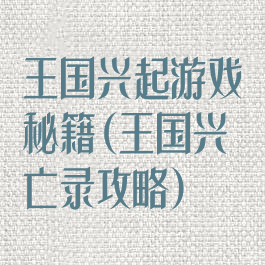 王国兴起游戏秘籍(王国兴亡录攻略)