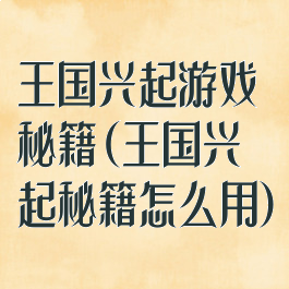 王国兴起游戏秘籍(王国兴起秘籍怎么用)