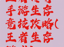 王者传奇手游生存竞技攻略(王者生存游戏)