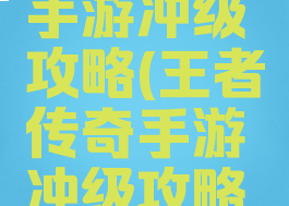王者传奇手游冲级攻略(王者传奇手游冲级攻略图)