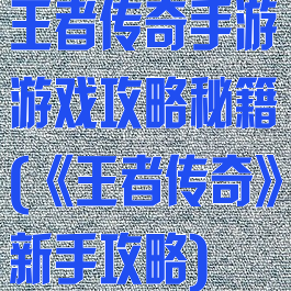 王者传奇手游游戏攻略秘籍(《王者传奇》新手攻略)