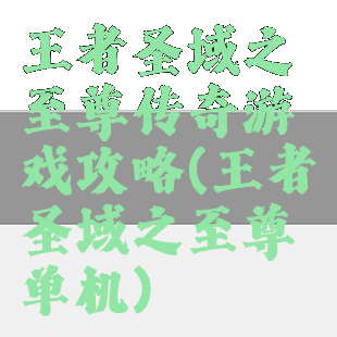 王者圣域之至尊传奇游戏攻略(王者圣域之至尊单机)
