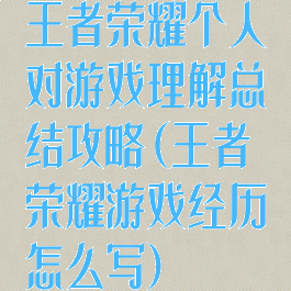 王者荣耀个人对游戏理解总结攻略(王者荣耀游戏经历怎么写)