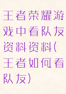 王者荣耀游戏中看队友资料资料(王者如何看队友)