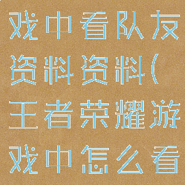 王者荣耀游戏中看队友资料资料(王者荣耀游戏中怎么看队友资料)