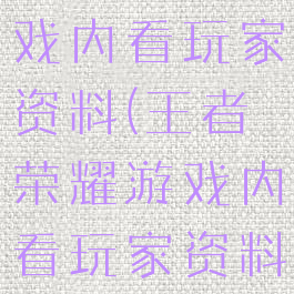 王者荣耀游戏内看玩家资料(王者荣耀游戏内看玩家资料的软件)