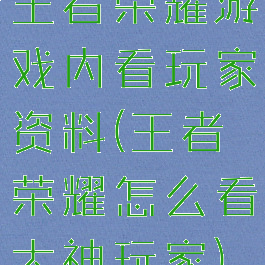 王者荣耀游戏内看玩家资料(王者荣耀怎么看大神玩家)