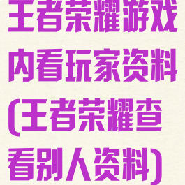 王者荣耀游戏内看玩家资料(王者荣耀查看别人资料)