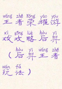 王者荣耀游戏攻略后羿(后羿王者玩法)