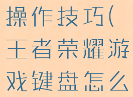 王者荣耀游戏键盘怎么操作技巧(王者荣耀游戏键盘怎么操作技巧图解)