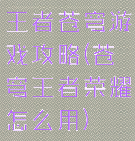 王者苍穹游戏攻略(苍穹王者荣耀怎么用)