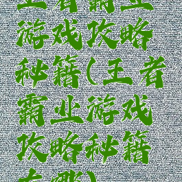 王者霸业游戏攻略秘籍(王者霸业游戏攻略秘籍在哪)