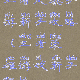 王者风暴手游新手攻略(王者荣耀游戏新手攻略)