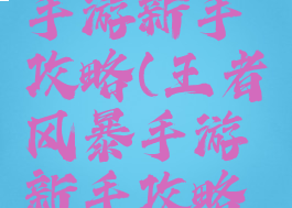 王者风暴手游新手攻略(王者风暴手游新手攻略技巧)