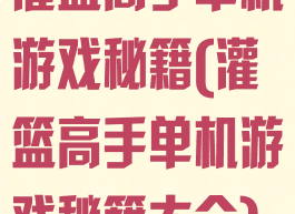 灌篮高手单机游戏秘籍(灌篮高手单机游戏秘籍大全)