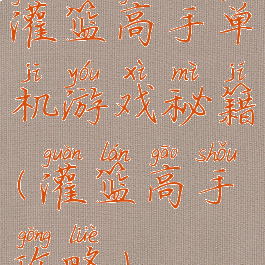 灌篮高手单机游戏秘籍(灌篮高手攻略)