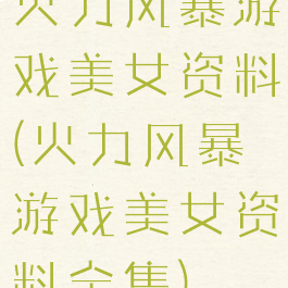 火力风暴游戏美女资料(火力风暴游戏美女资料全集)
