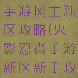 火影忍者ol手游风主新区攻略(火影忍者手游新区新手攻略)