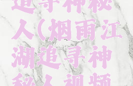 烟雨江湖追寻神秘人(烟雨江湖追寻神秘人视频解说)
