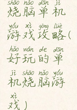 烧脑单机游戏攻略(好玩的单机烧脑游戏)
