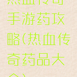 热血传奇手游药攻略(热血传奇药品大全)