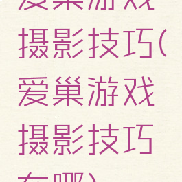 爱巢游戏摄影技巧(爱巢游戏摄影技巧在哪)